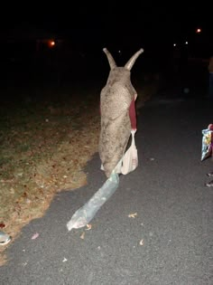 a person standing on the side of a road next to a dead animal statue with its mouth open