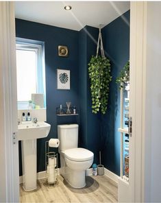 a white toilet sitting next to a sink in a bathroom under a green leafy plant