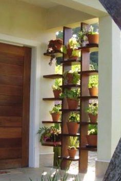 a tall wooden shelf with potted plants on it's sides next to a tree