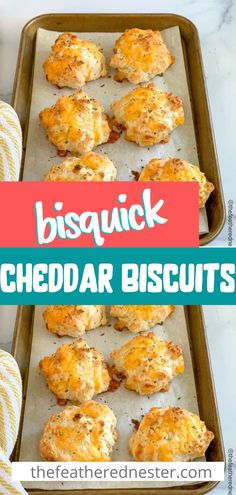 bisquick cheddar biscuits on a baking sheet with text overlay that reads bisquick cheddar biscuits