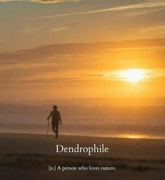 a person walking on top of a sandy beach near the ocean at sunset with an inspirational quote above it