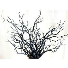 a vase filled with black branches on top of a table