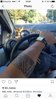 a person driving a car with a cat behind the steering wheel and on the dashboard