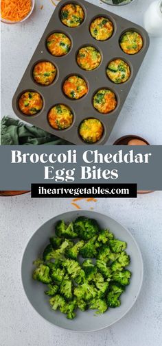 broccoli cheddar egg bites in a muffin tin and on a plate