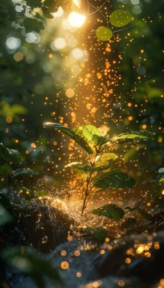 the sun shines brightly through the leaves of a plant in the forest with water splashing on it