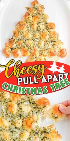 Dinner Roll Christmas Tree, Pull A Part Christmas Tree Bread, Garlic Pull Apart Christmas Tree, Christmas Tree Pull Apart Buns, Cheesy Garlic Christmas Tree Bread, Pizza Dough Cheese Balls Christmas Tree, Beautiful Christmas Appetizers, Christmas Tree Pull Apart Pizza Bites, Christmas Tree Biscuits Recipe