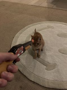 a cat is playing with a hair dryer on the floor while someone holds it in their hand