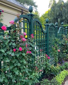 a green fence with pink roses growing on it next to some bushes and flowers in the foreground