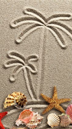 starfish, seashells and palm tree on the beach with waves drawing in sand