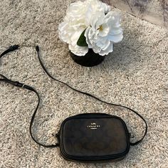 Coach Mini Jamie Signature Canvas Camera Bag - Brown/Black Condition Excellent Bags Coach, Signature Canvas, Coach Bags, Mini Bag, Camera Bag, Black Color, Black And Brown, Bag Lady, Conditioner