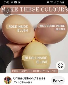 an image of three eggs in the palm of someone's hand with text that reads make these colors