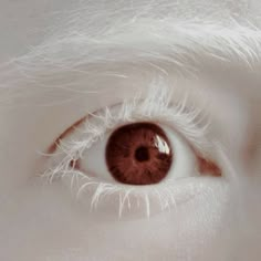 Eye Photography, Aesthetic Eyes, Pretty Eyes, Eye Art, Red Eyes, Character Aesthetic, White Hair, An Eye