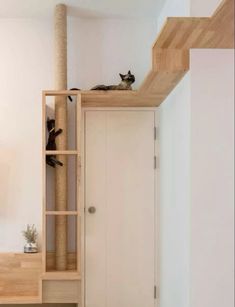 two cats sitting on top of a cat tree in a room with white walls and wood floors