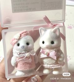 two small stuffed animals are in a clear box