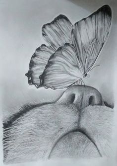 a drawing of two butterflies on top of a dog's head with its eyes closed