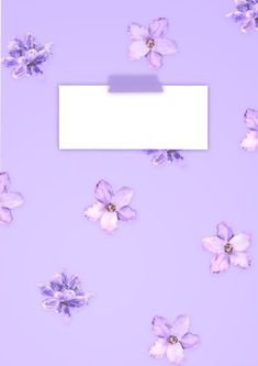 purple flowers with a white card in the middle on a light purple background that is rectangleed