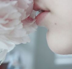 a close up of a person kissing a flower