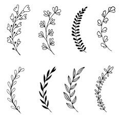 the different types of plants drawn in ink