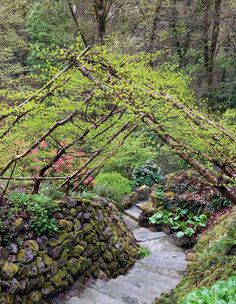 a stone path in the middle of a forest