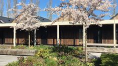 the building is made out of wood and has many windows on each side, along with several trees in blooming