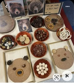 there are many pictures on the table with rocks and stones in bowls next to each other