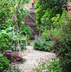 a garden with lots of plants and flowers around the area, including an iron chair