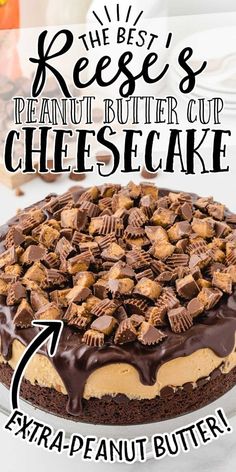 the best reese's peanut butter cup cheesecake recipe