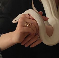 a woman holding a white snake in her hands