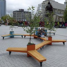 people are sitting on benches with trees in them