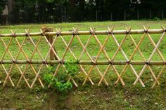 a bamboo fence in the middle of a grassy area with a potted plant behind it