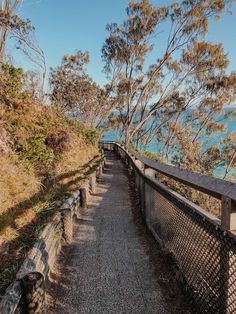 an empty path leading to the ocean with trees on both sides and water in the background