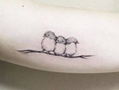 three little birds sitting on a branch tattoo