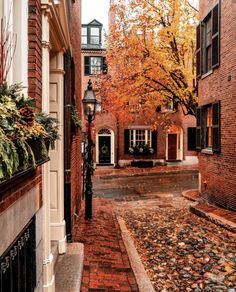 an alley way with brick buildings and autumn foliage