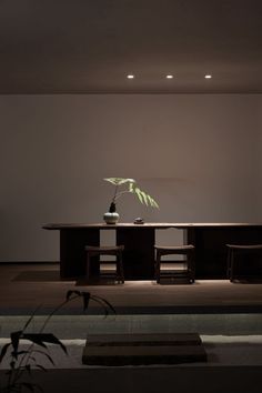 a table with two chairs and a potted plant on it in the middle of a room