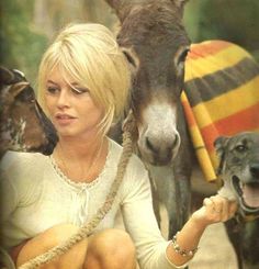 a woman sitting next to two dogs and a horse