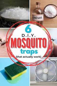 six diy mosquito traps that actually work