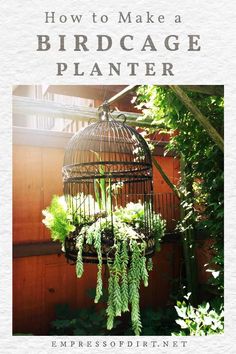 a birdcage with plants hanging from it's sides and the words how to make a birdcage planter