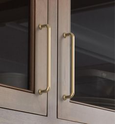 a close up of two doors with handles