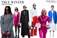 True Winter Seasonal Color: Ultimate Guide {cool winter} - Gabrielle Arruda