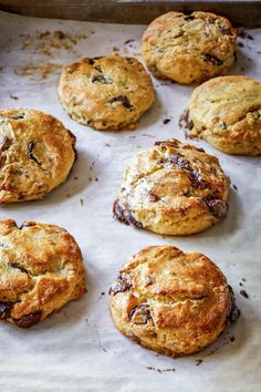 freshly baked chocolate chip cookies on a baking sheet