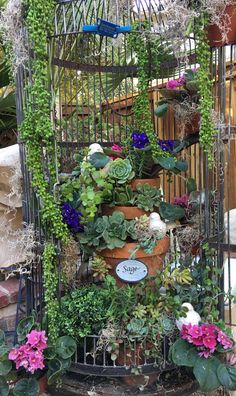 a birdcage filled with lots of plants and flowers