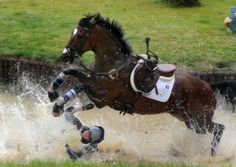 a horse is jumping over water in the grass