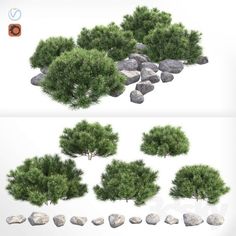 some rocks and trees are shown in three different views, each with their own foliage