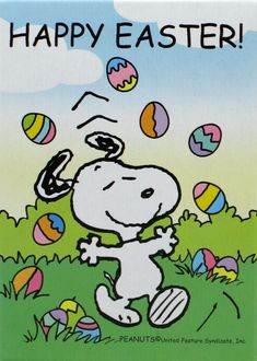 a snoopy easter card with an image of a dog chasing eggs in the grass