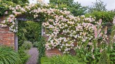 an arch covered in white flowers next to lush green plants and shrubs on a cloudy day