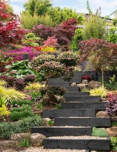 an outdoor garden with lots of plants and flowers on the steps leading up to it