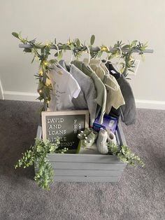 a basket filled with clothes sitting on top of a carpeted floor next to a plant