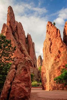 some very large rocks and trees in the desert