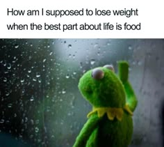 a green stuffed animal sitting in front of a window with raindrops on it