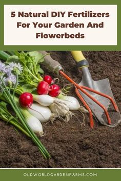 gardening tools and vegetables with the title 5 natural diy fertilizers for your garden and flowers